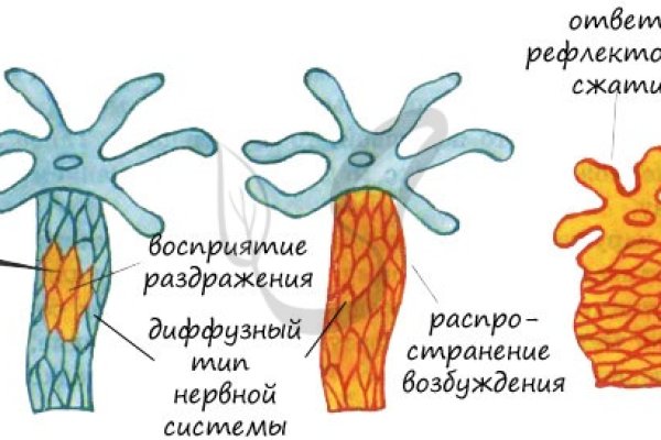 Кракен ссылка