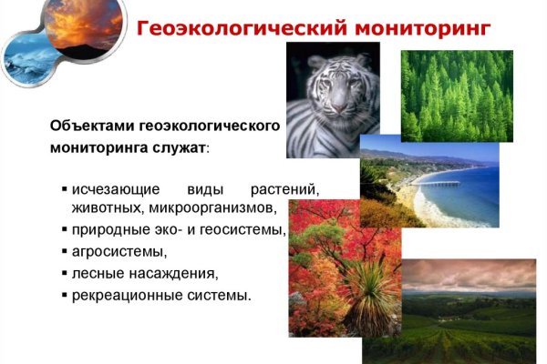Kraken актуальное