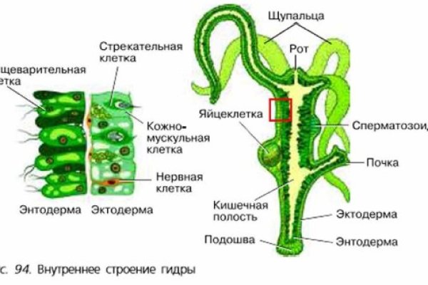 Кракен дарк оригинал ссылка